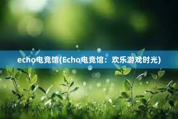 echo电竞馆(Echo电竞馆：欢乐游戏时光)