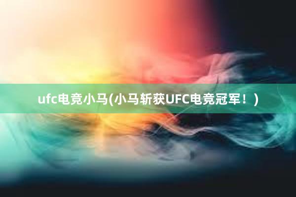 ufc电竞小马(小马斩获UFC电竞冠军！)