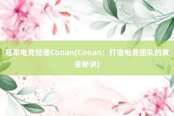 冠军电竞经理Conan(Conan：打造电竞团队的黄金秘诀)