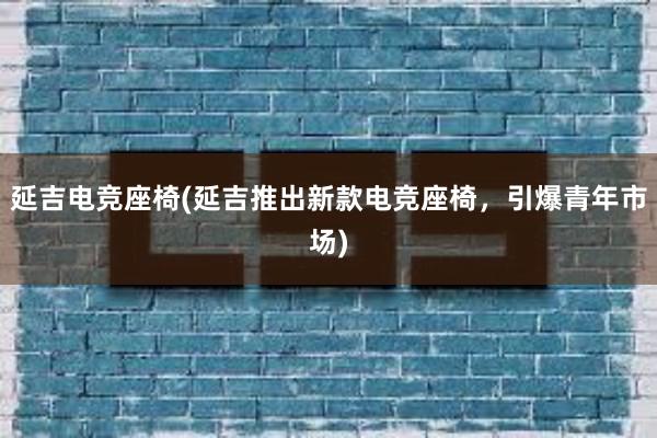 延吉电竞座椅(延吉推出新款电竞座椅，引爆青年市场)