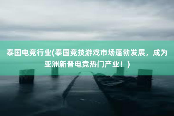 泰国电竞行业(泰国竞技游戏市场蓬勃发展，成为亚洲新晋电竞热门产业！)