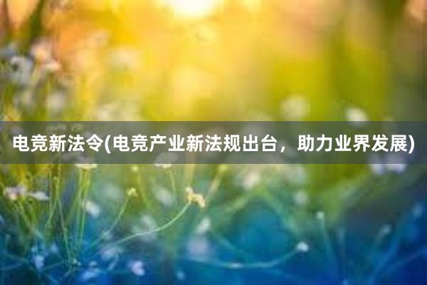 电竞新法令(电竞产业新法规出台，助力业界发展)