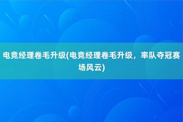 电竞经理卷毛升级(电竞经理卷毛升级，率队夺冠赛场风云)