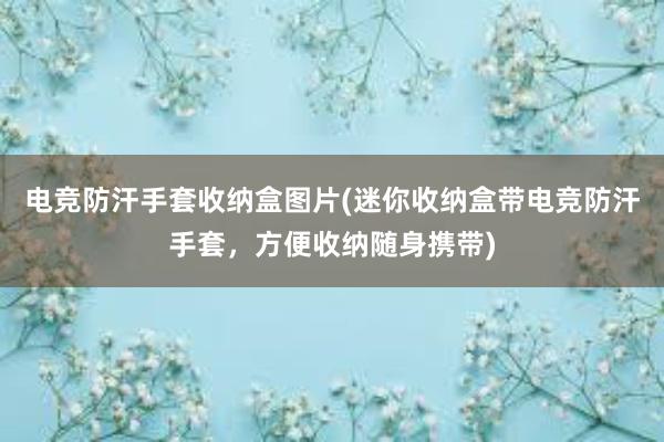 电竞防汗手套收纳盒图片(迷你收纳盒带电竞防汗手套，方便收纳随身携带)