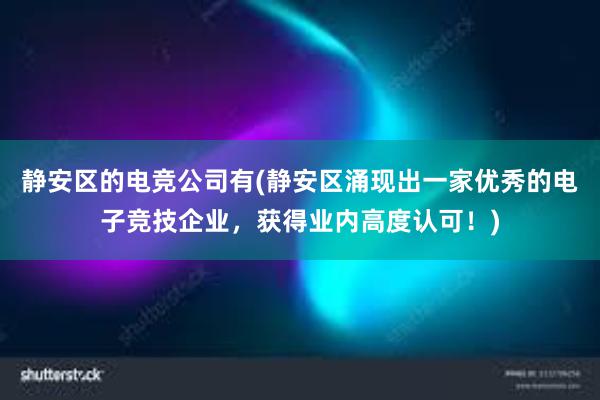 静安区的电竞公司有(静安区涌现出一家优秀的电子竞技企业，获得业内高度认可！)