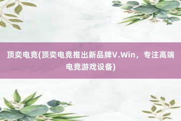 顶奕电竞(顶奕电竞推出新品牌V.Win，专注高端电竞游戏设备)