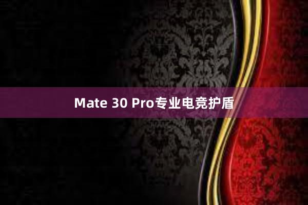 Mate 30 Pro专业电竞护盾