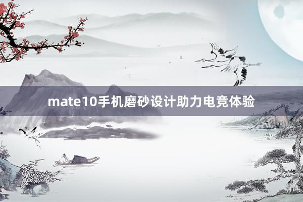 mate10手机磨砂设计助力电竞体验