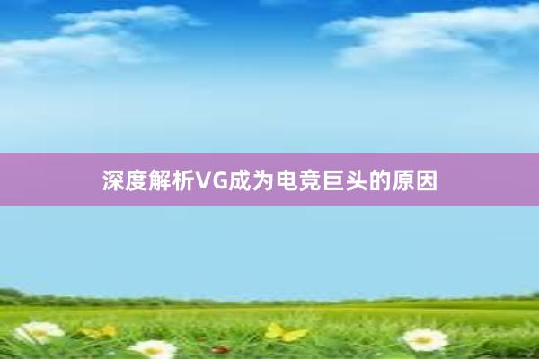 深度解析VG成为电竞巨头的原因