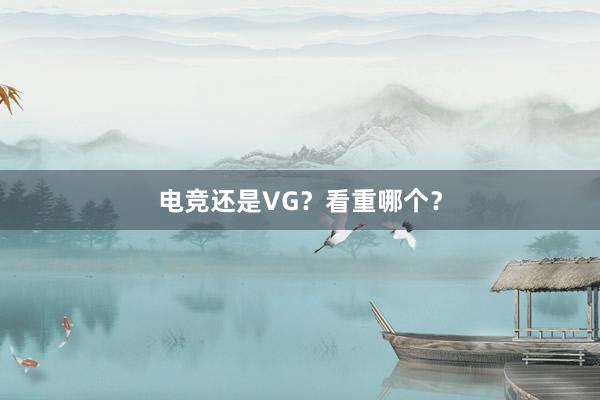 电竞还是VG？看重哪个？