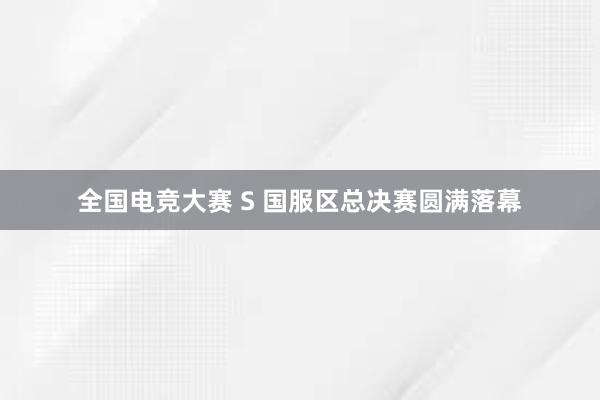 全国电竞大赛 S 国服区总决赛圆满落幕