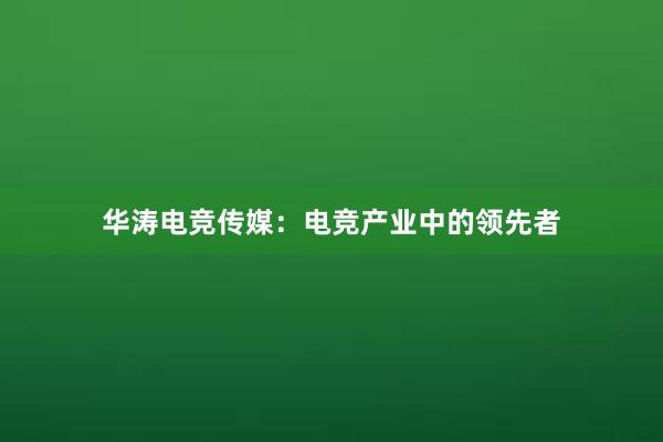 华涛电竞传媒：电竞产业中的领先者