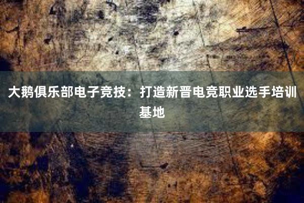 大鹅俱乐部电子竞技：打造新晋电竞职业选手培训基地