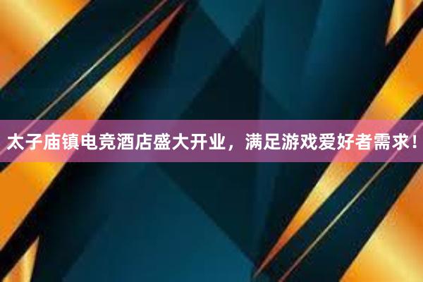 太子庙镇电竞酒店盛大开业，满足游戏爱好者需求！