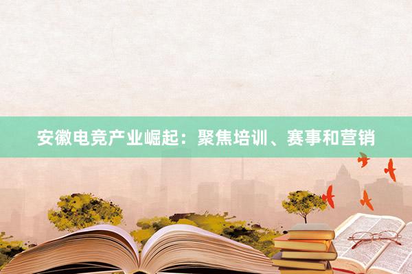 安徽电竞产业崛起：聚焦培训、赛事和营销