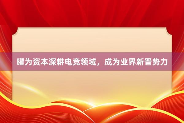 曜为资本深耕电竞领域，成为业界新晋势力