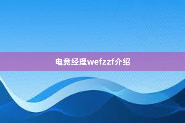 电竞经理wefzzf介绍