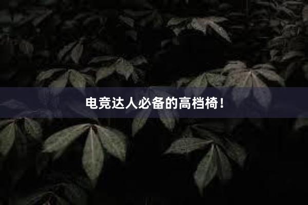 电竞达人必备的高档椅！